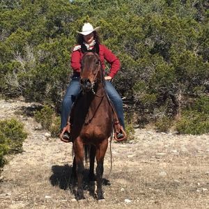 Meet your Posher, Delaney